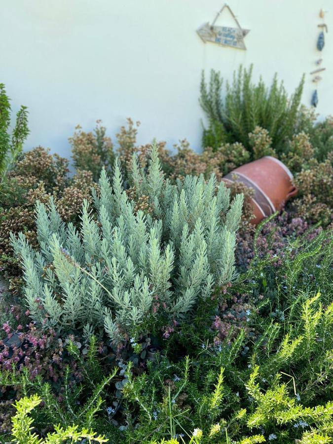 Villa Pnoe Seaside Kalamaki  Dış mekan fotoğraf